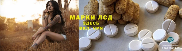 PSILOCYBIN Каменск-Шахтинский