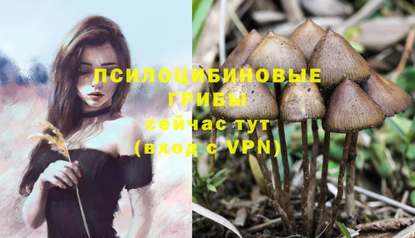 твердый Новодвинск