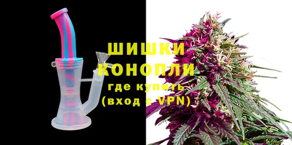 сатива Каменка