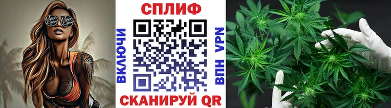 Каннабис индика  как найти наркотики  Кола 